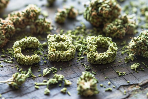 CBD à spectre complet : test et analyse scientifique
